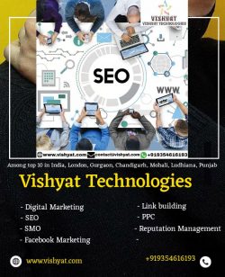 VISHYAT TECHNOLOGIES – SEO SERVICES COMPANY IN INDIA