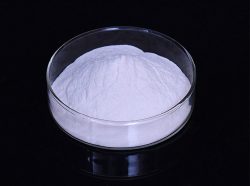 Xanthan Gum