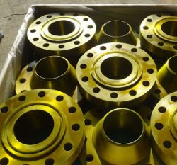 B16.5 Flange