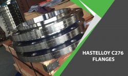 Hastelloy C276 Flanges