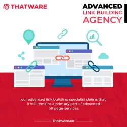 Advanced Link Building Agency – Thatware