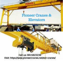 EOT Crane Manufacturers