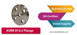 B16.5 Flange