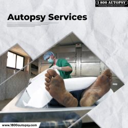 Autopsy Services