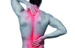 Meet the Best Back Pain Doctors in West Orange, New Jersey