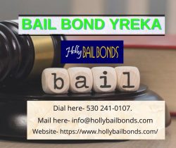 Best Bail Bonds Agent in Yreka