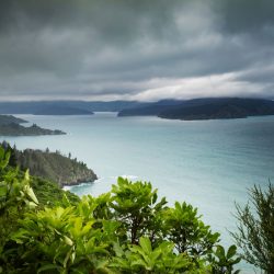 Property For Sale Marlborough Sounds