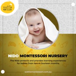 Best Environment in a Montessori Nido Classroom