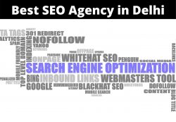 SEO Agency in Delhi