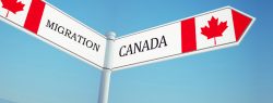 Most Rated Canada Immigration Consultants in Jaipur