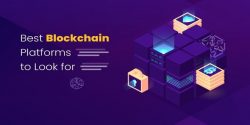 8 Best Blockchain Platforms For Creating A Decentralized Platform