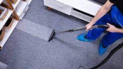 Best Carpet Cleaning Services | Boss Optima`