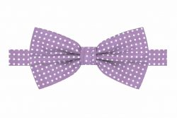 Blending Classic and Contemporary Fashion: Men Bow Tie and Suspenders