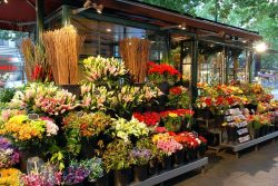 Shlomo Yoshai | Florist in Spain