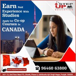 USA Study Visa With Spouse, Under F1 / F2 Category