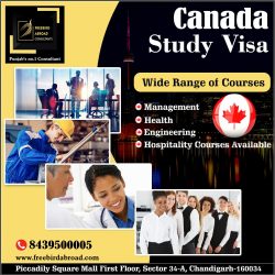 Canada Study Visa With Overall 6 Bands in IELTS