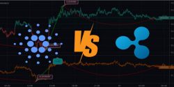 Cardano vs Ripple: A Detailed Guide Of The Best Cryptos