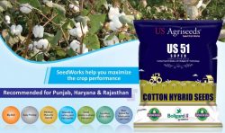 Cotton Seeds Company in India