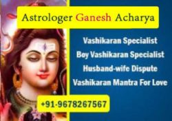 Love Marriage Specialist In Delhi – (प्रेम विवाह विशेषज्ञ ज्योतिष) +91-9678267567