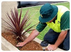 Lawn Mowing Lysterfield