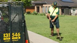 Lawn Mowing Diamond Creek