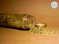 Hemp Hearts: Benefits of Hemp Seeds