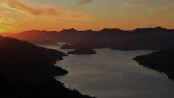 Land For Sale Marlborough Sounds