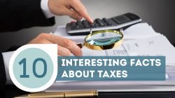 Interesting Facts about the US Tax System