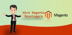 Best Certified Magento Developers