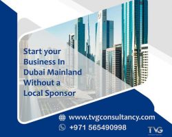 Business Consultant