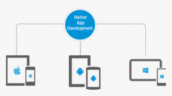 Native App Development