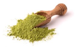 Henna Powder Manufacturer in India