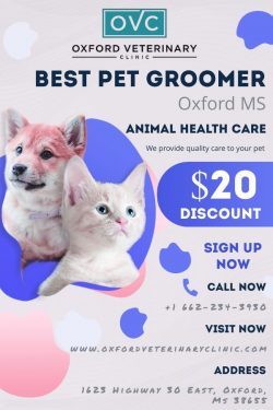 Best Pet Groomer in Oxford MS