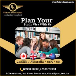 Plan Your Study Visa With Us