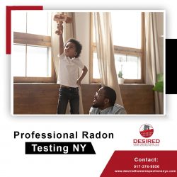 Professional Radon Testing NY