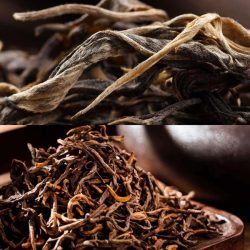 Tea Combo Yunnan Puer Teas