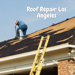 Expert Roof Repair In Los Angeles To Resolve Your Distress