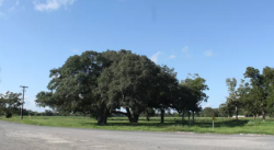 RV Parks in Sweeny Texas