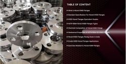 MONEL K500 FLANGES