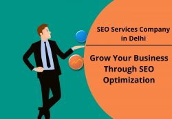 SEO Services Company in Delhi