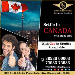 Settle In Canada With Study Visa