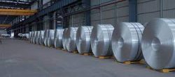 Stainless Steel 301LN Coils Supplier, stockist