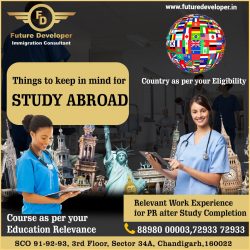 Study & Settle – Abroad With Future Developer