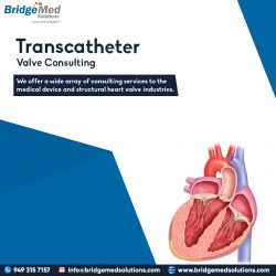 Transcatheter Valve Consulting