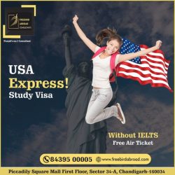 USA Study Visa Without IELTS