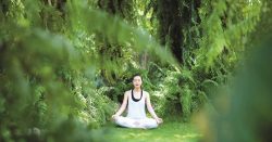 Meditation For Stress | Art of Living Foundation