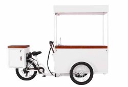 Ice cream tricycle