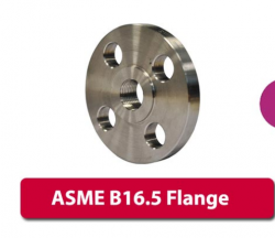 B16.5 Flange