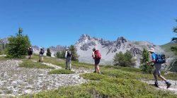 Snowshoeing In Alps