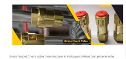 brass check valve manufacturers